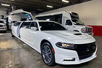 Photo of the 12 Passenger Limo