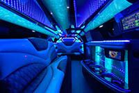 Photo of the 12 Passenger Limo