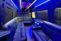 Photo of the 14 Passenger Party Van