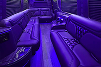 Photo of the 14 Passenger Party Van