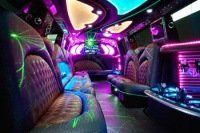 Photo of the 20 Passenger Limo