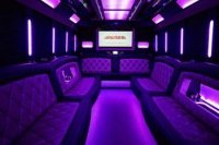 Photo of the 28 Passenger Party Bus
