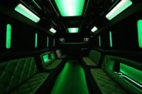 Photo of the 28 Passenger Party Bus